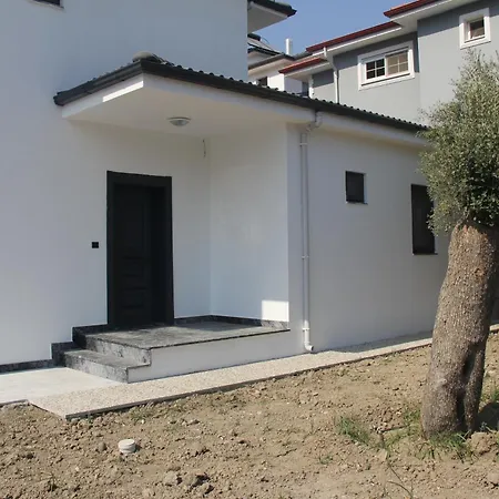 فيلة Sarisli 3